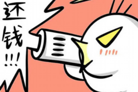 绥宁专业要账公司